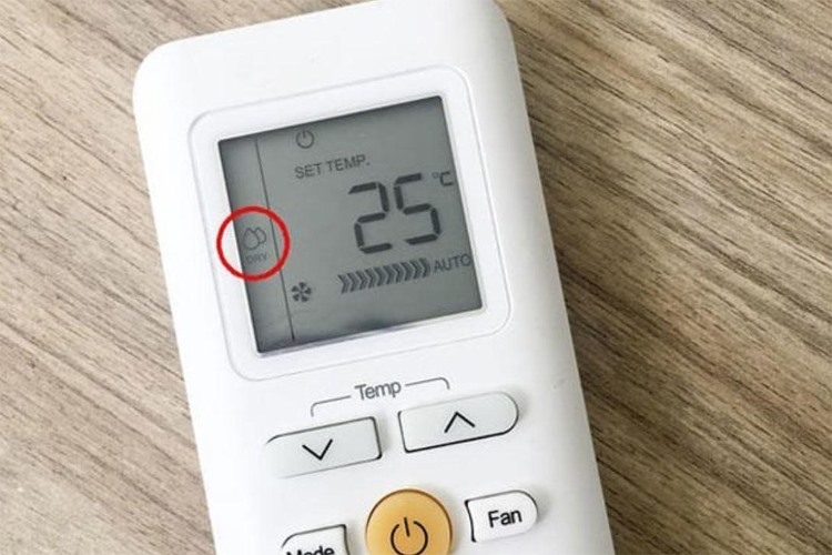 Chế độ hút ẩm cho điều đòa
